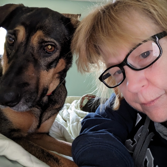 Meet your Posher, Victoria - Picture 4 of 8